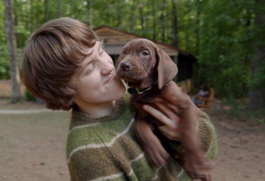 Scooby-Doo renace en Netflix con su primera aventura de acción real y un adorable protagonista de carne y hueso